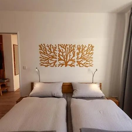 Apartment Hochharzhome Mit Traumblick Ueber