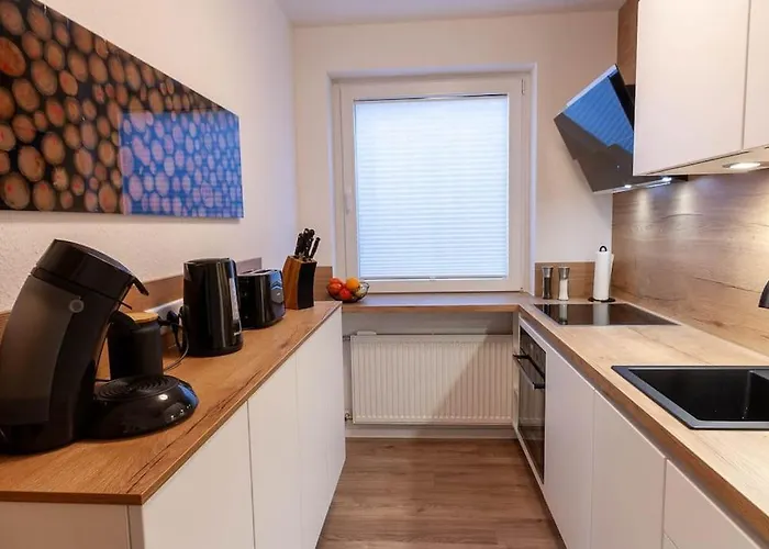 公寓 Hochharzhome Mit Traumblick Ueber